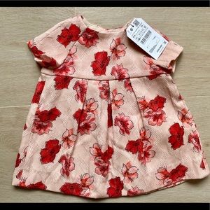 NWT! Zara Baby Girl Collection Floral Dress 6-9 mo